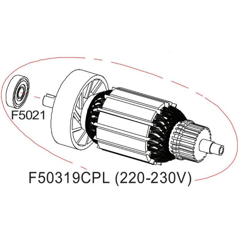 Rotor complet 220V DS503 RASOR F50319CPL