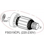 Rotor complet 220V DS503 RASOR F50319CPL