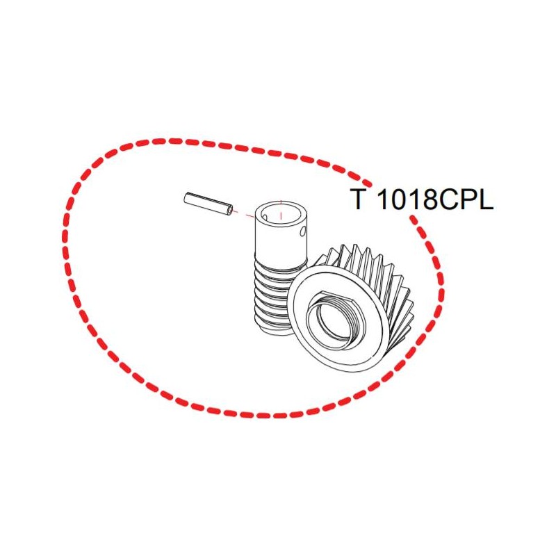 Pignon complet + vis sans fin RASOR D100 réf T1018CPL
