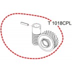 Pignon complet + vis sans fin RASOR D100 réf T1018CPL