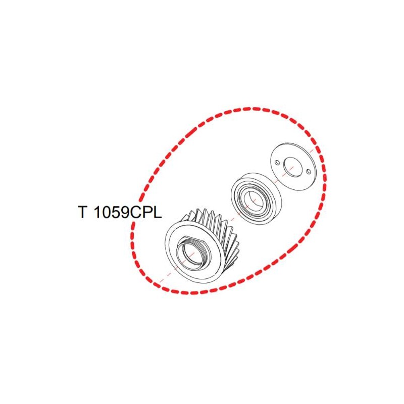 Pignon complet RASOR  D100 réf T1059CPL