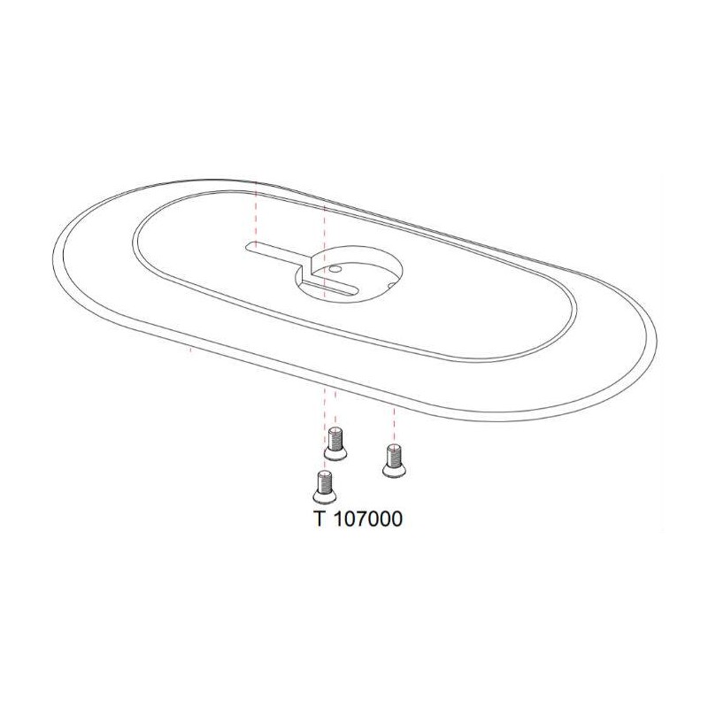 Vis fixation semelle RASOR SW100 - D100 réf T107000
