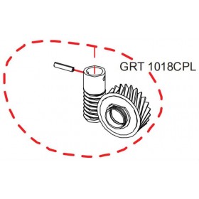 Ensemble pignon et vis sans fin RASOR GRT10 réf GRT1018CPL