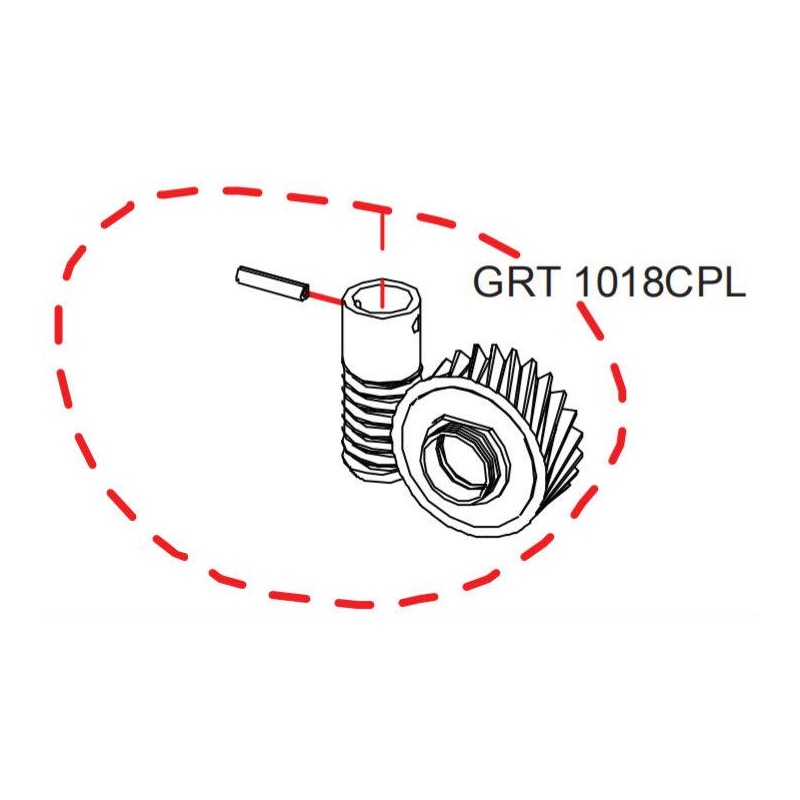 Ensemble pignon et vis sans fin RASOR GRT10 réf GRT1018CPL