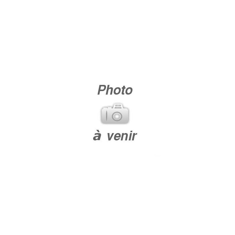 Vis serre aiguille ADLER 30-10 réf 9203 003022